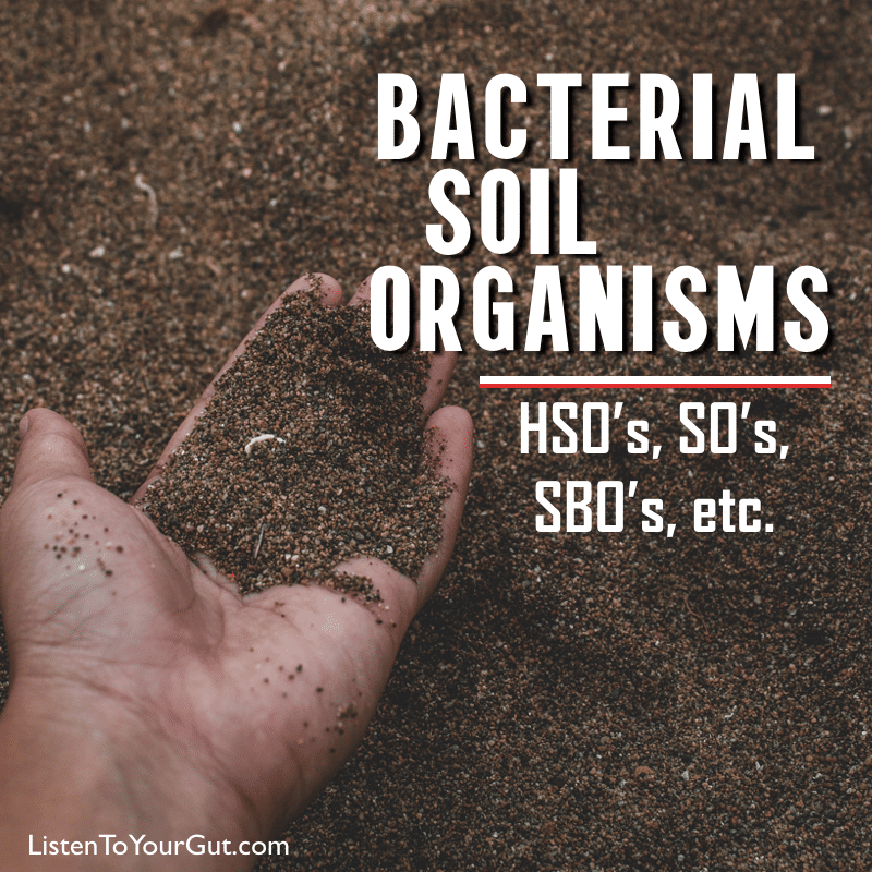 Bacterial Soil Organisms - HSO's, SO's, SBO's, etc.