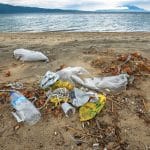 plastic