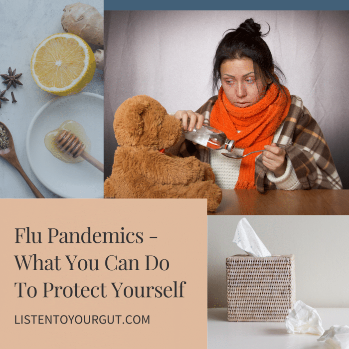 Flu Pandemics - What You Can Do To Protect Yourself