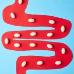 Probiotic and lactobacillus capsules passing through intestine