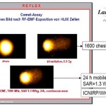 More WiFi and Cellphone Radiation Worries