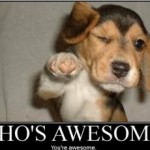 Who is awesome?