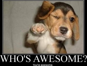 Who is awesome?