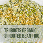 TruRoots Organic Sprouted Bean Trio