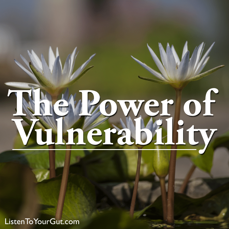 Power of Vulnerability