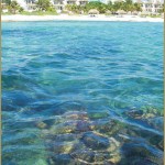akumal-beach-resort