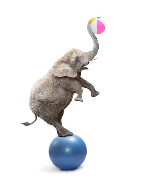 balance-key-to-life