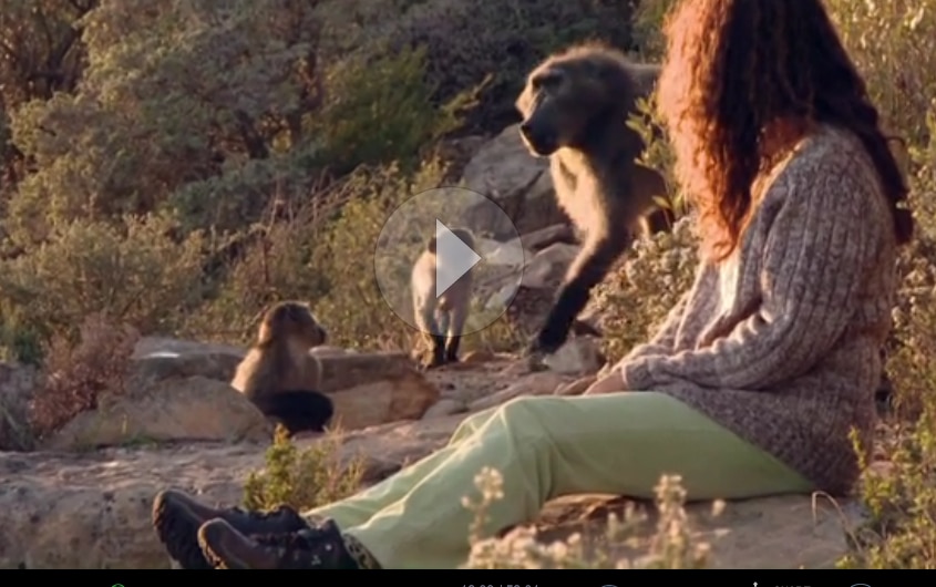 animal communicator