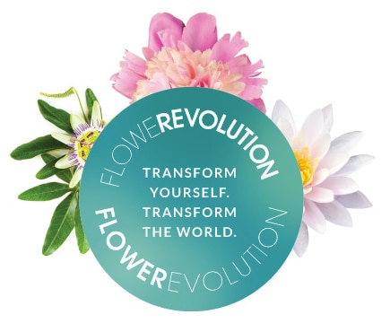 Transform Your Life with Flower Remedies