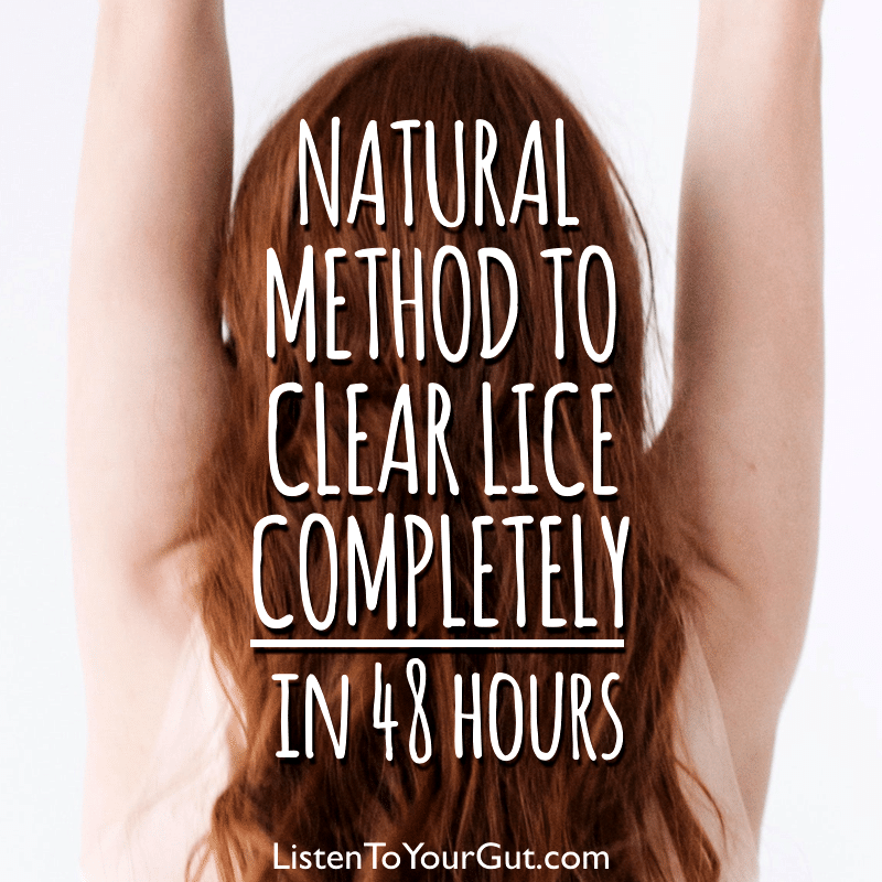 Natural Method To Clear Lice from Hair & Home in 48 Hours