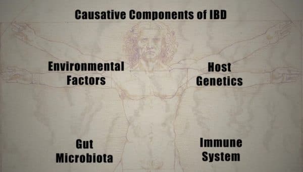 Causative Components of IBD