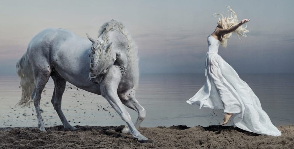 Woman and Stallion