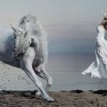 Woman and Stallion
