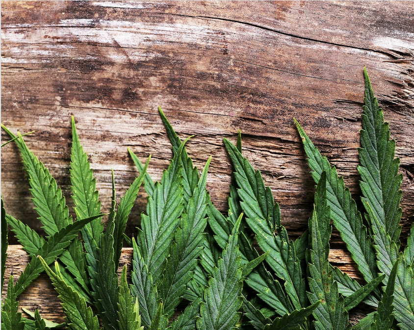 Cannabis Suppositories
