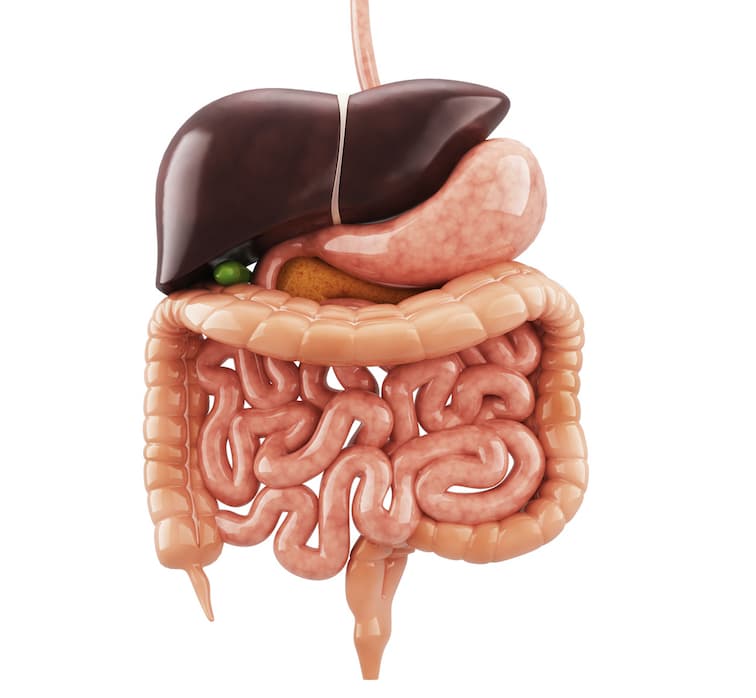 colon