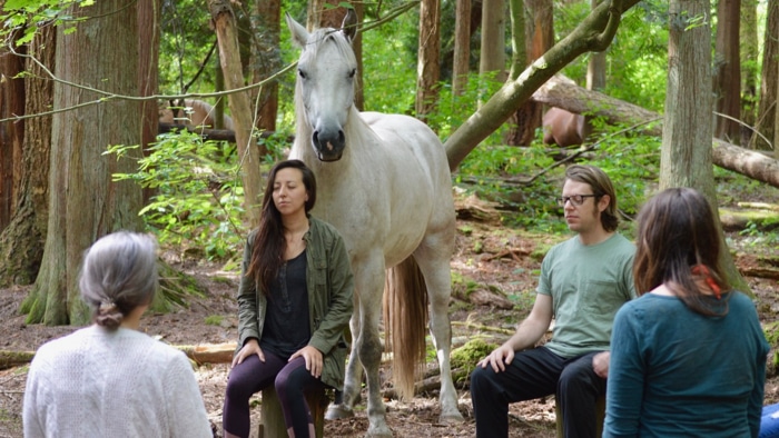 Horse Meditation Circle - New Healing Technique