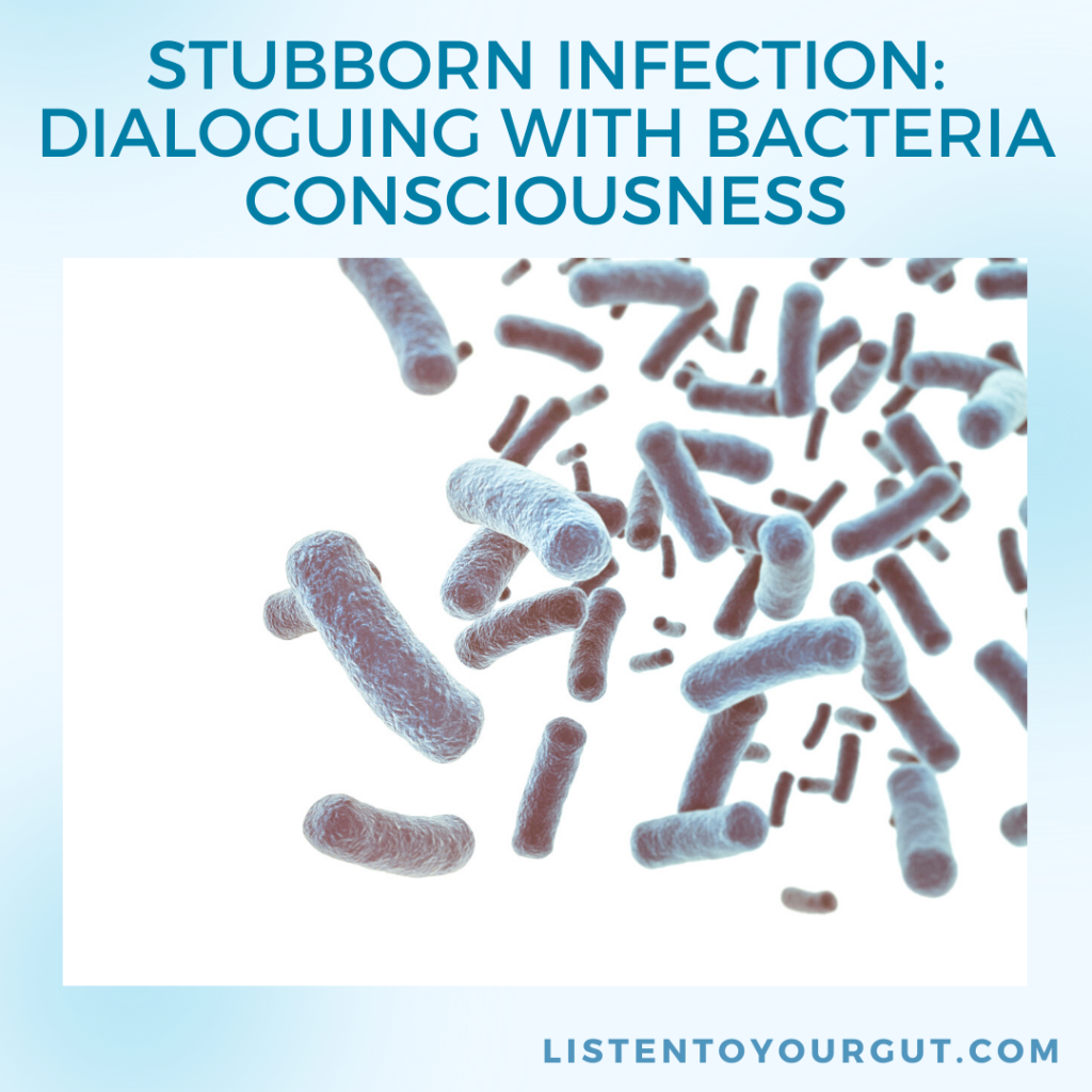 Stubborn Infection: Dialoguing with Bacteria Consciousness