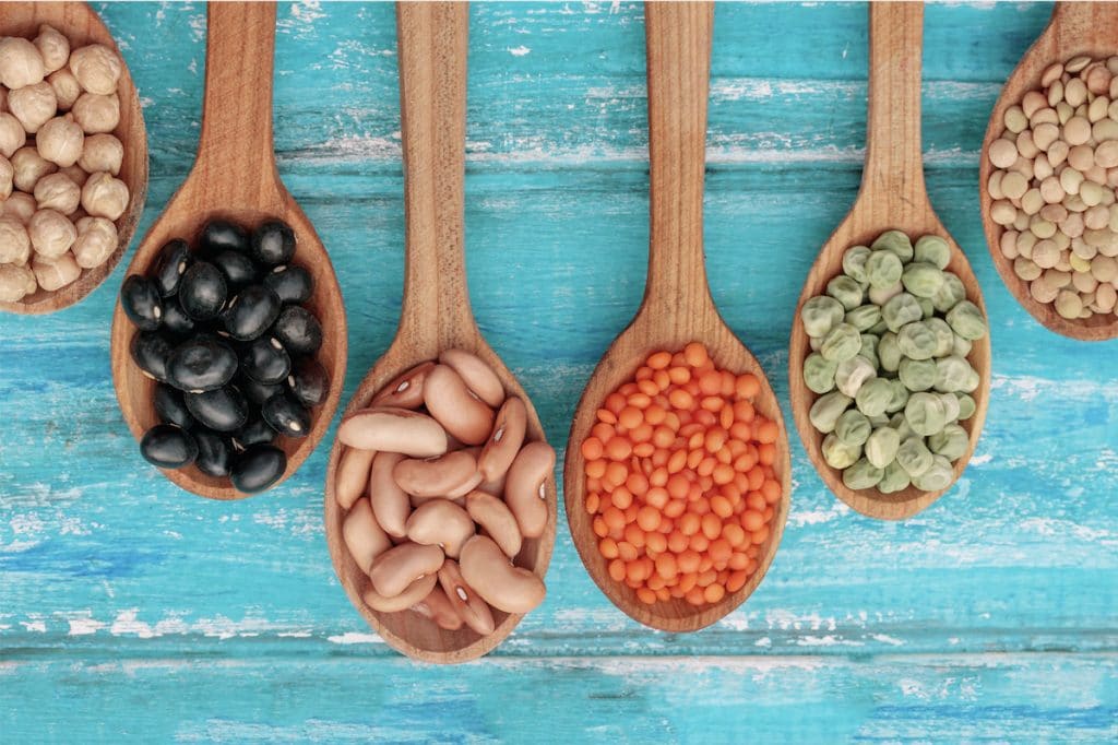 beans lectins