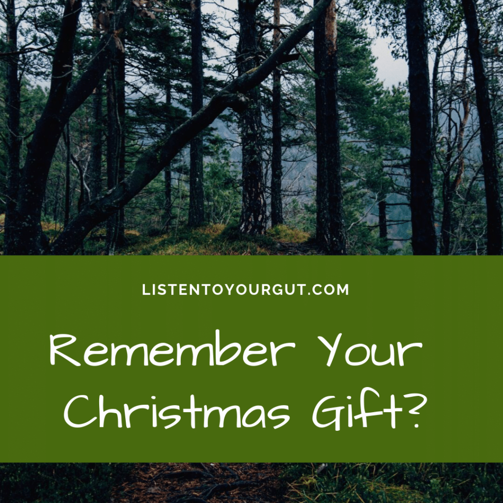 Remember Your Christmas Gift?