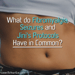 What do Fibromyalgia, Seizures and Jini's Protocols Have in Common?