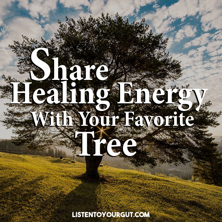 Share Healing Energy With Your Favorite Tree