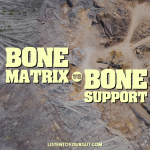 bone matrix vs bone support