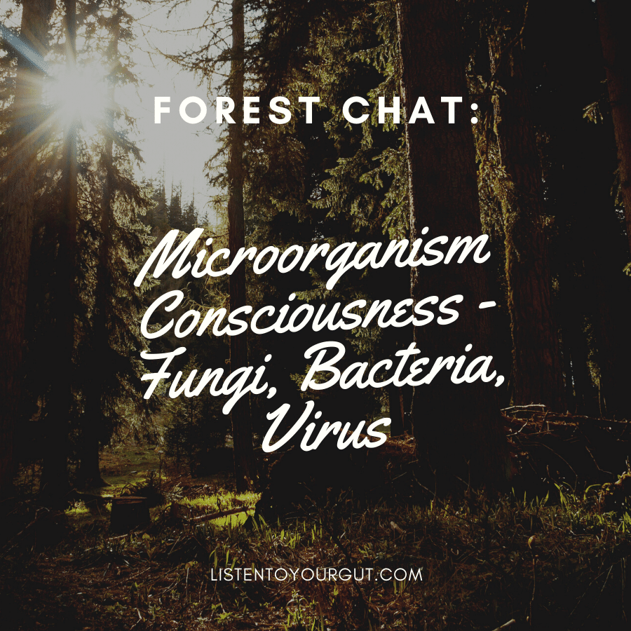 Forest Chat: Microorganism Consciousness - Fungi, Bacteria, Virus