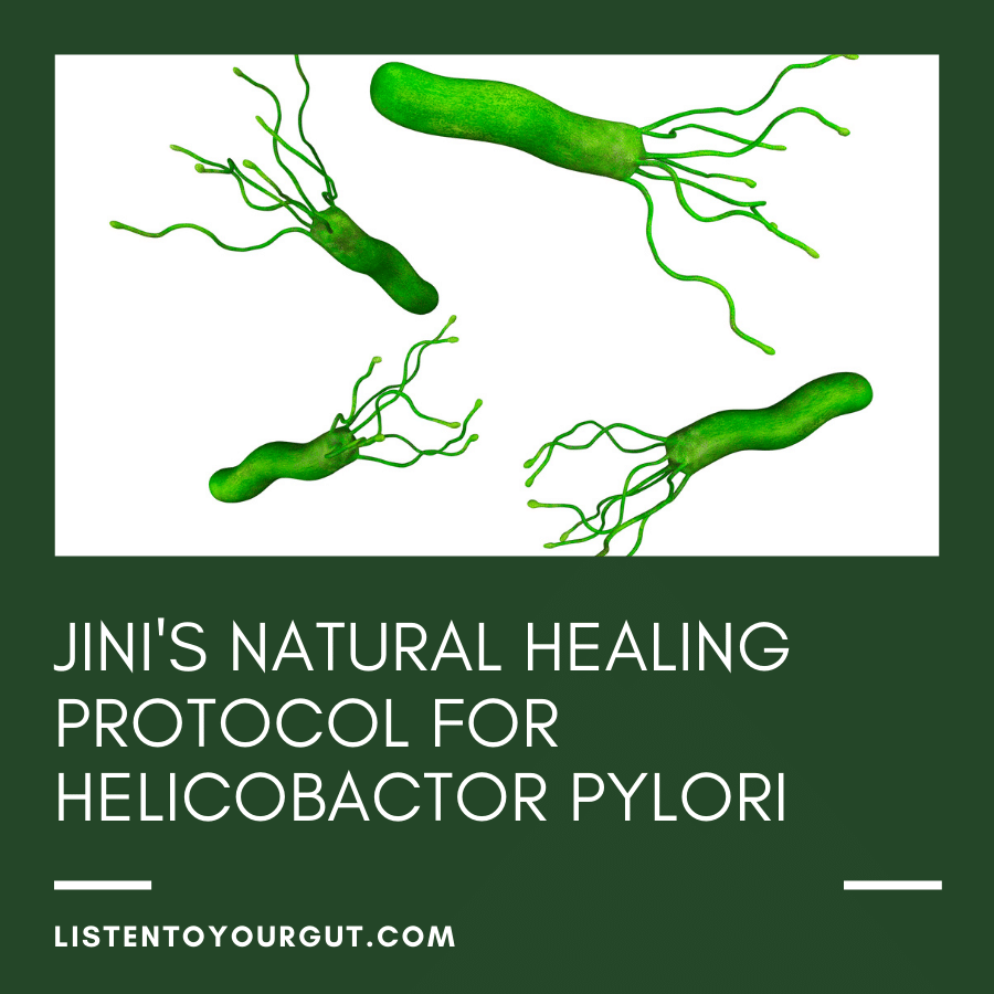 Jini's Natural Healing Protocol for Helicobactor Pylori