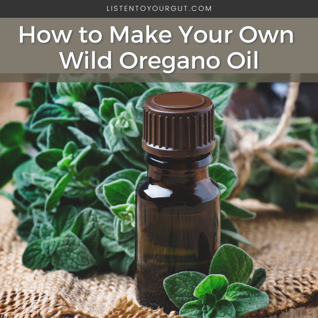 How to Make Your Own Wild Oregano Oil
