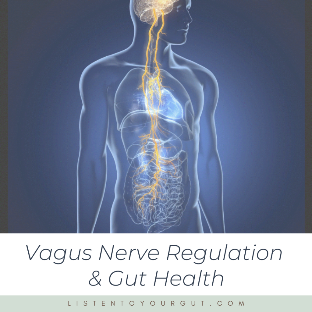 Vagus Nerve Regulation & Gut Health