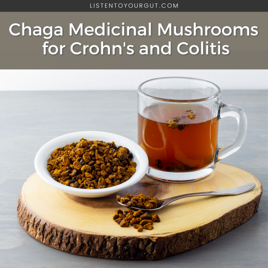Chaga Medicinal Mushrooms for Crohn's and Colitis