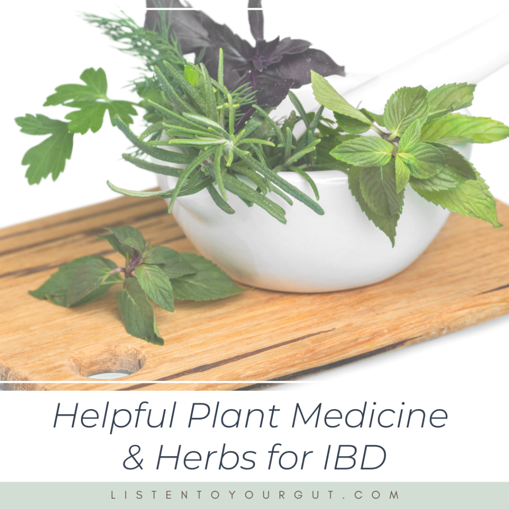 Helpful Plant Medicine & Herbs for IBD