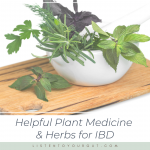 Helpful Plant Medicine & Herbs for IBD