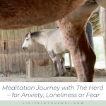 Meditation with Horses for Anxiety, Loneliness or Fear