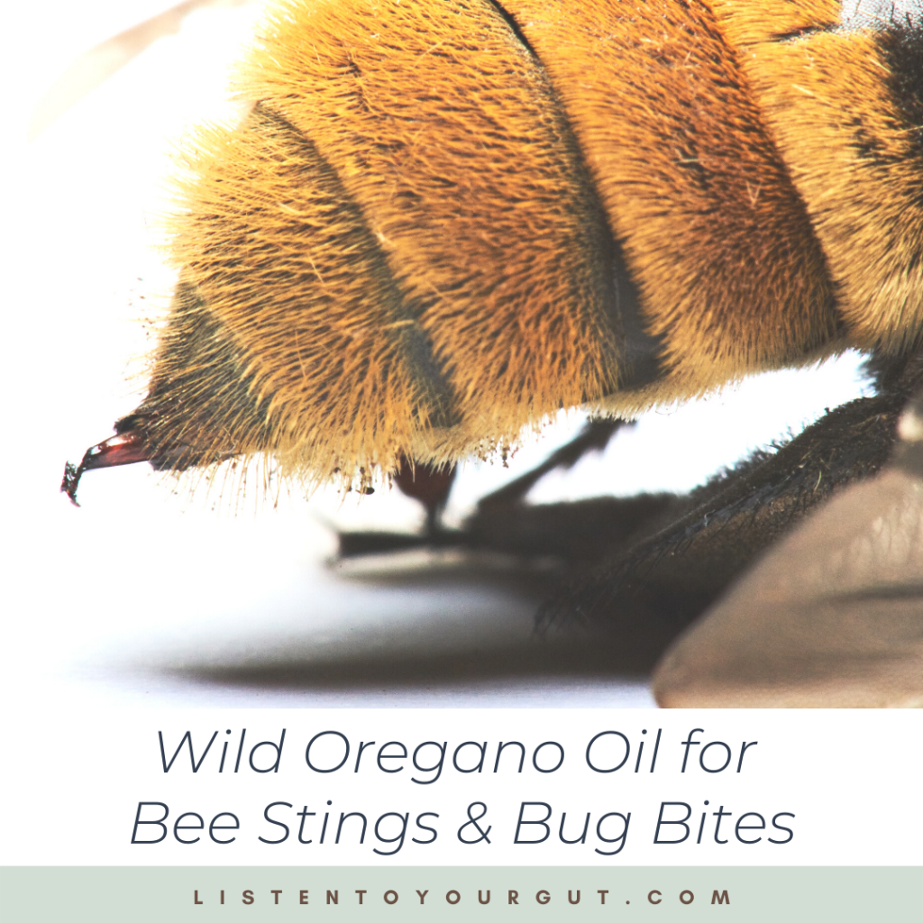 Wild Oregano Oil for Bee Stings & Bug Bites