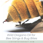 Wild Oregano Oil for Bee Stings & Bug Bites