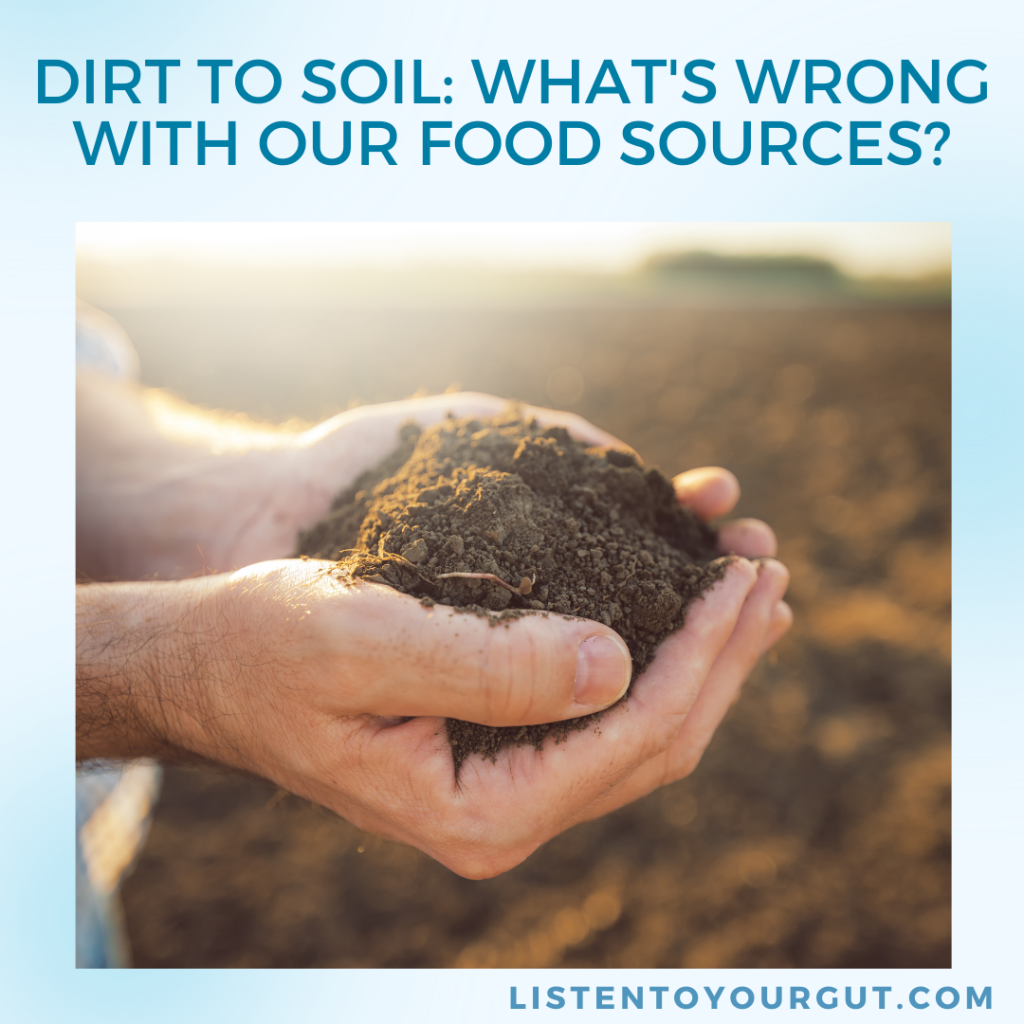 Dirt to Soil: What's Wrong With Our Food Sources?