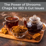 Chaga for IBD