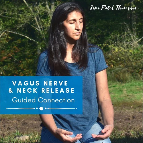 Vagus Nerve and Neck Releaase Guided Meditation