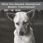 Were You Abused, Abandoned, Beaten, Traumatized?