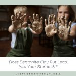 Does Bentonite Put Lead Into Your Stomach?